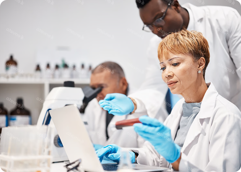 A Symbol Of A New Beginning